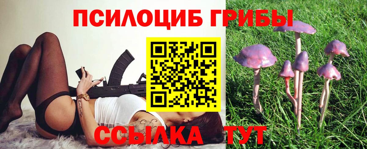 Тайшет  Псилоцибиновые грибы Magic Shrooms  Вход с VPN 